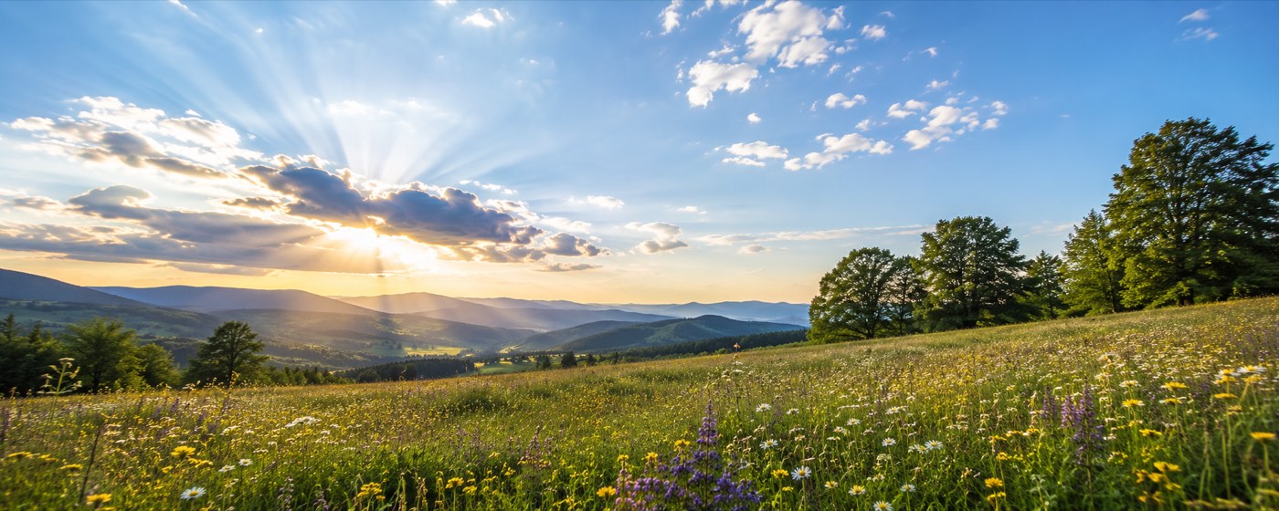 Sonnenaufgang über einer Blumenwiese in der Kärntner Landschaft bei St. Veit an der Glan